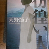 天野節子『彷徨い人』を読む。