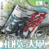 令和７年「相模の大凧まつり」5/4・5/5 開催！（2024/4/25)