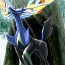 とめのVGC cooking