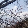 いろいろなモノが開く…