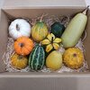 ハロウィンのかぼちゃがなぜ食べられないのか、その理由を身を持って知った