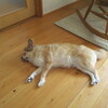 何があっても、結果は だいだい知っている