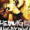 「ヘドウィグ・アンド・アングリーインチ」（Hedwig and the Angry Inch）は今見直しても傑作