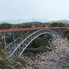 西海橋公園（長崎県佐世保市）～２つのアーチ橋と桜のコラボ