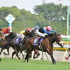 2011年6月16日くらいまでの競馬ニュースとか