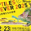 2月22.23日大阪レプタイルズフィーバー出展します！
