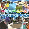 【キャンペーン情報】色がいろいろ！スクリーンショットキャンペーンは本日23時59分まで！【FF14】