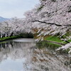 青森の桜の名所は弘前公園だけじゃない！