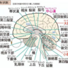 学習の継続には休憩と栄養補給が大事（社労士試験etc.）