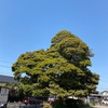 夏の空〜余白にちょっと〜