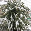 雪と駅伝