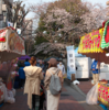 2019年「西門夜ざくらまつり」行って来ました！写真でのレポートです。