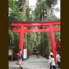 箱根神社、九頭龍神社