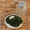 苔鉢（山苔、楕円平鉢）