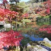 みかえり阿弥陀の永観堂 in 京都