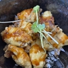 寄島の海賊亭さんで牡蠣てんぷら丼を堪能♪♪