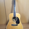K.Country D-300