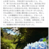 懐かしく新鮮な気分になった過去記事