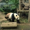 2016/09/19 上野動物園