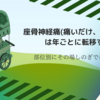 座骨神経痛(痛いだけ、動かせる)は年ごとに転移する 部位別にその場しのぎで春を待つ