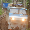 鉄道撮影　東海道線　根府川－早川 根ノ上踏切　望遠(1)　サンライズ