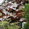 松が谷の秋葉神社
