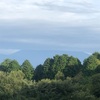 今朝の景色
