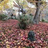 令和元年12月　京都旅行記　第一日「京都御苑・銀閣寺・圓光寺・嵐山」