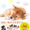 2025年はもう迫っている
