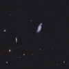 NGC４０８８＋４０８５：おおくま座の渦巻銀河