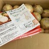 ふるさと納税で大阪府泉佐野市から『新タマネギ 10kg』が届きました！