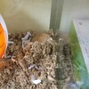 みそあん341日目
