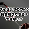 サイゼリヤのワインは持ち帰りできる？できない？安い理由・度数も解説