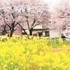 坂道のある場所で　【詩】