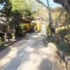 宇治上神社(宇治市)