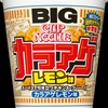 【日記】2021年6月16日「カラアゲレモンとベタベタ地獄」