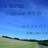 ニコンのRAW現像ソフト「Capture NX-D」のホワイトバランスを紹介します。