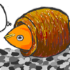 我が家の金魚ミステリー　何故？その金魚はタコツボに入ったのか？