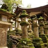 春日大社：奈良の古都に息づく神秘の拠点
 

①