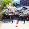 花園神社の直書き御朱印と見どころを徹底紹介