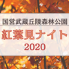 【国営武蔵丘陵森林公園】『紅葉見ナイト2020』を見に行ってきた《埼玉・イベント》