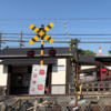 ぶらり気ままなウォーキング旅　「その手は桑名の焼き蛤」編