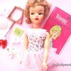 タミーちゃんのいた頃★昭和レトロ人形【Vintage Tammy doll】