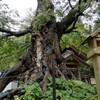 神魂伊能知奴志神社（命主社）かみむすびいのちぬしのかみのやしろ（いのちぬしのやしろ）