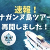 2025年最新！沖縄の無人島"ナガンヌ島"で日帰りシュノーケリング♪ツアーやっと再開しました！沖縄本島　シュノーケリングツアー　熱帯魚　ウミガメ　珊瑚礁　小型船　無人島　日帰りツアー　