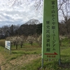 富士市立広見公園　後半