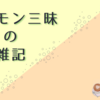 ポケモンを楽しんでいる、という雑記です