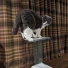 【勤労報告】カカオ農場でカカオを運ぶ少年みたいな話