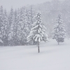 ❄吹雪の湯沢中里スキー場　２０１８年１２月訪問です🎿