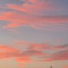 ８月１１日夕方の利根運河夕焼け